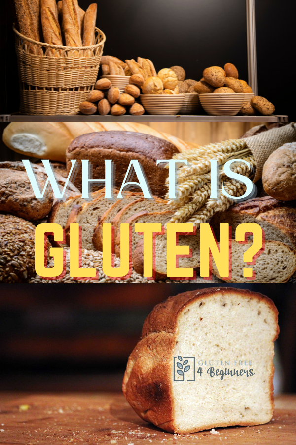 What is Gluten?